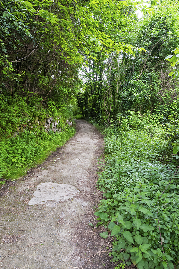 Trail on Monte Isola