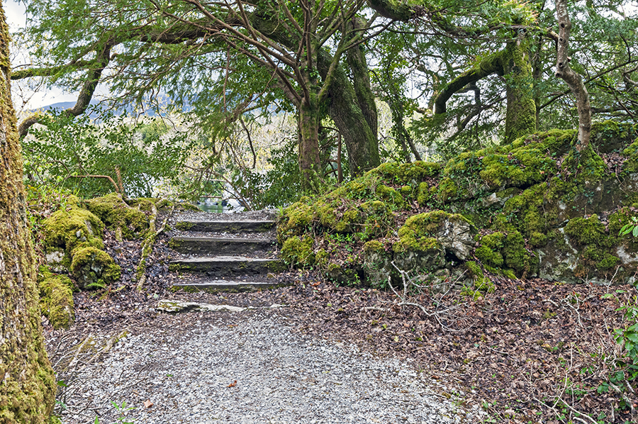 Killarney National Park