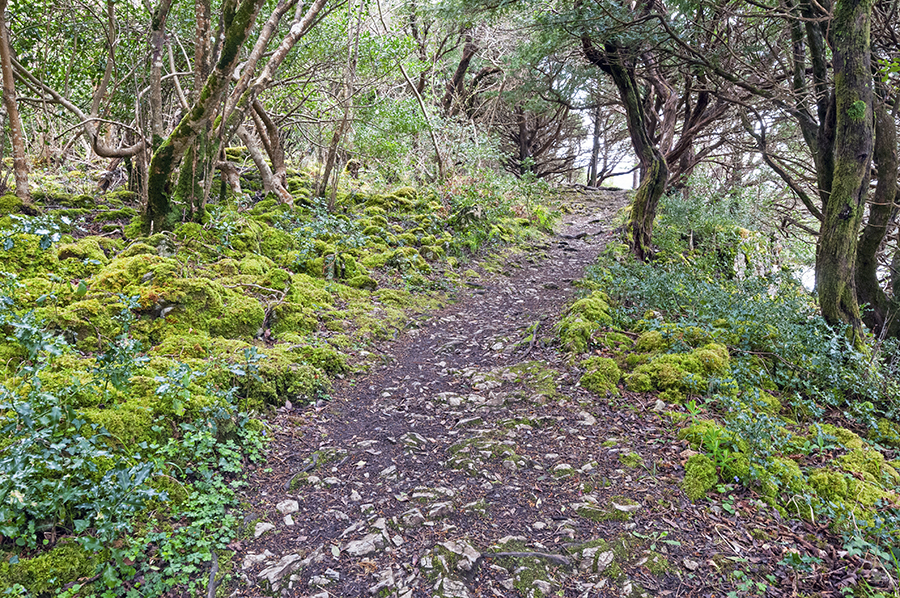 Killarney trail