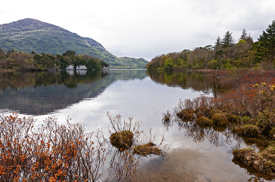 best things to do in Killarney National Park