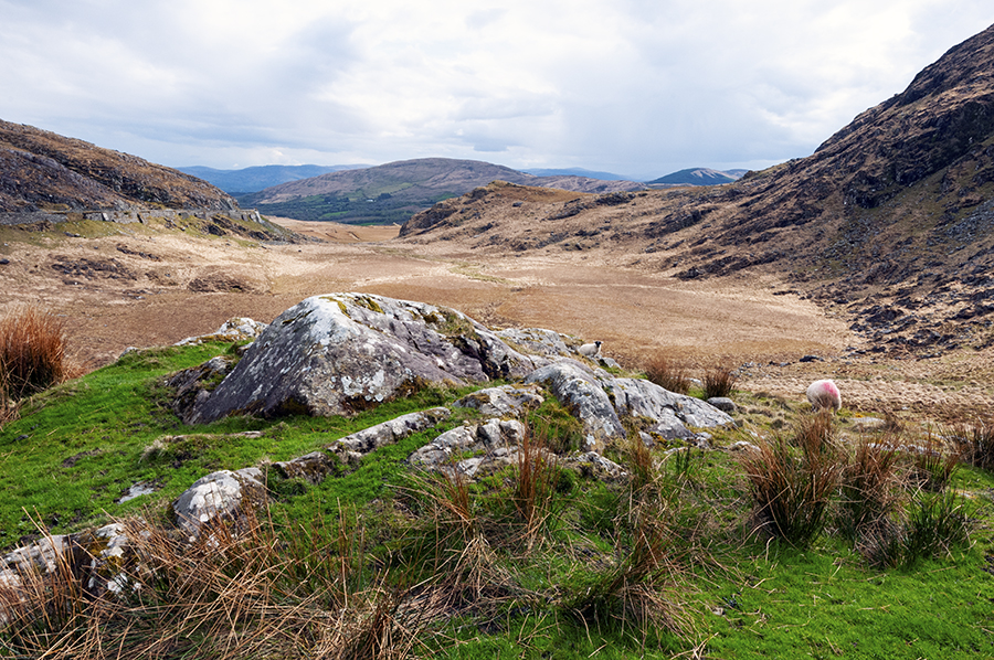 Molls Gap views