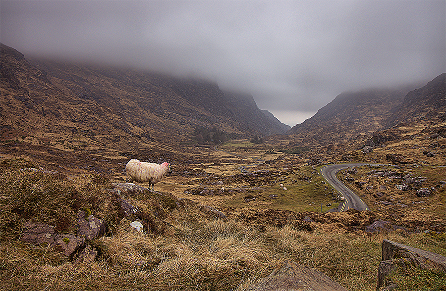 best things to do in Killarney National Park