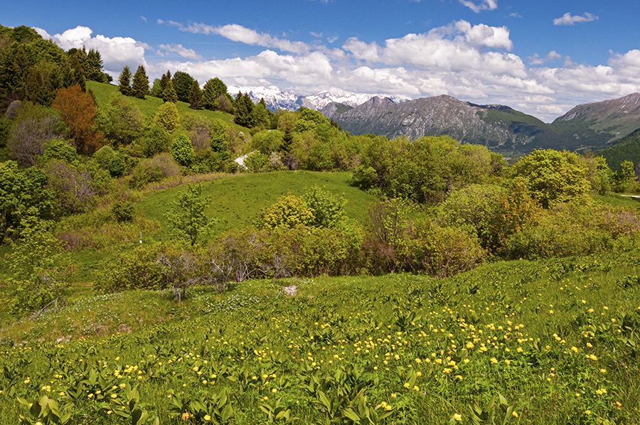 Landscape near Kolovrat Slovenia