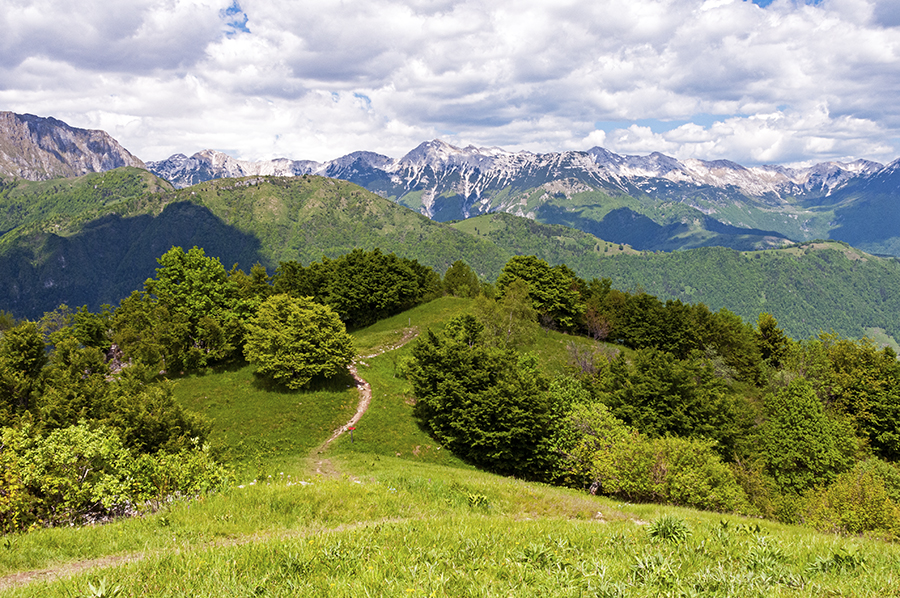 Trail through Slovenian landscape
