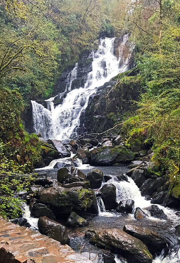 best things to do in Killarney National Park