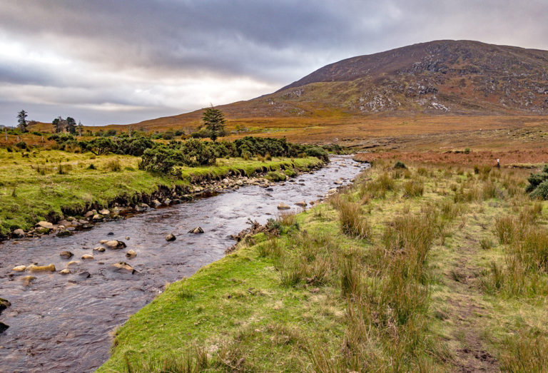 5 Reasons You Need to Explore the Unique Wild Nephin Ballycroy National ...