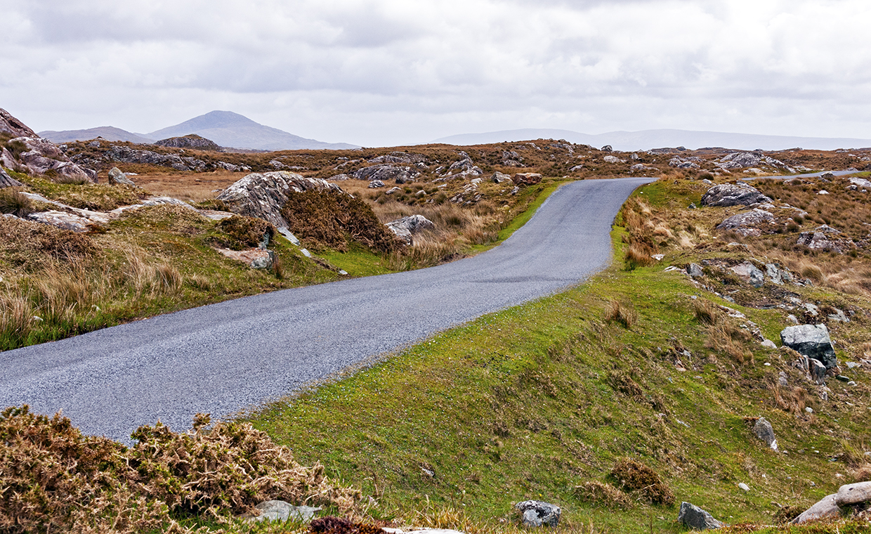 Old Bog Road