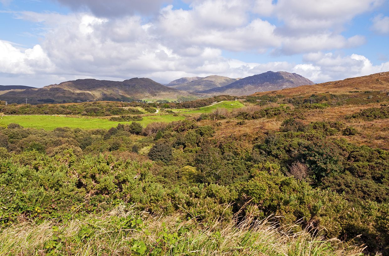 things to do in County Galway