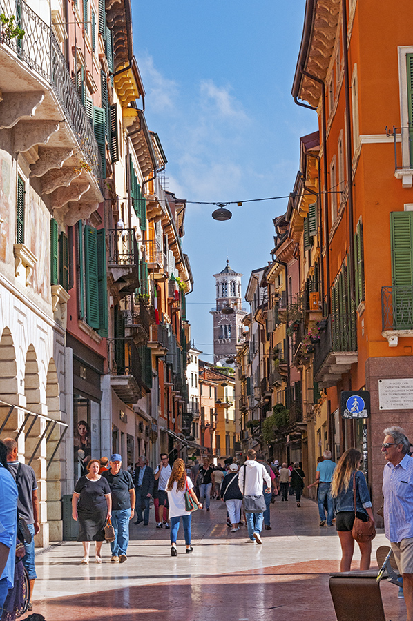 Trementina veneta Di Volo - AP Verona