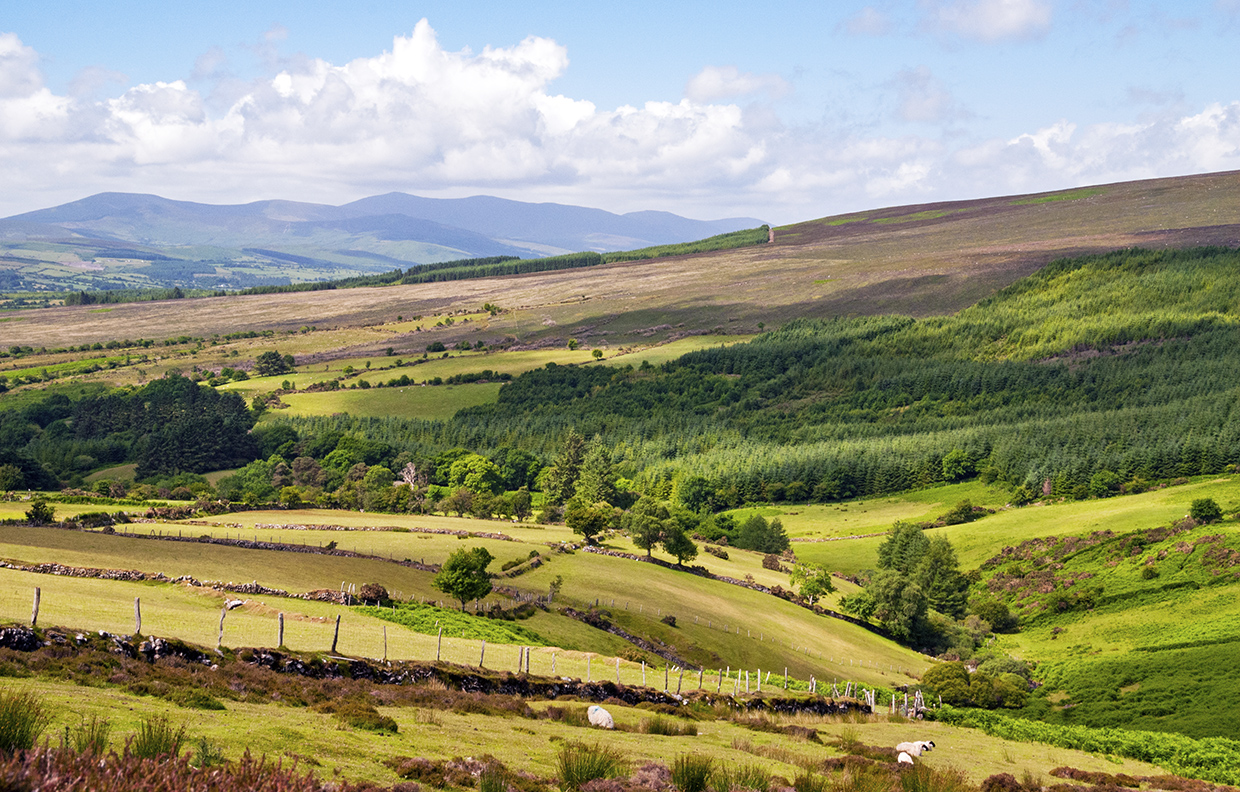 northern County Waterford • Wander Your Way