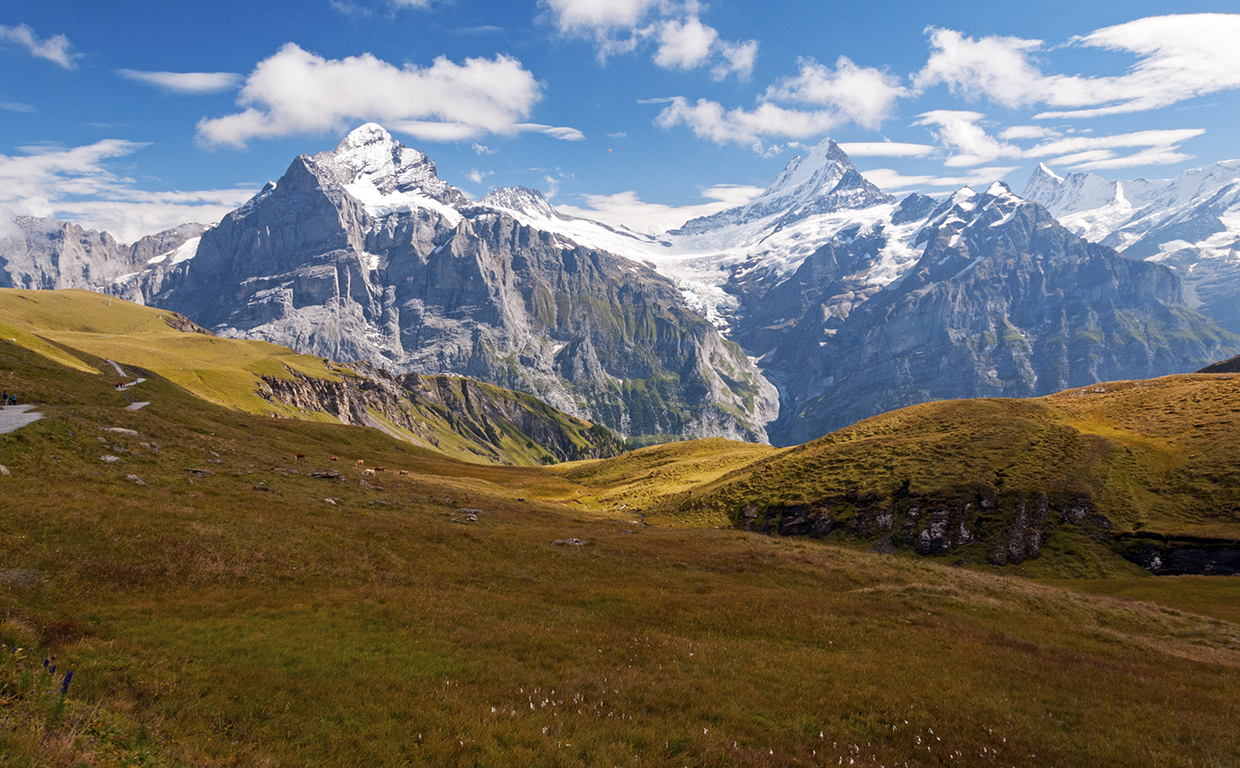 Swiss Alps Europe travel
