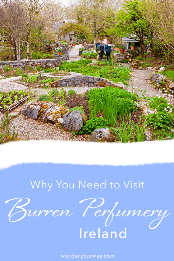 Why You Need to Visit the Unique and Fabulous Burren Perfumery Ireland ...