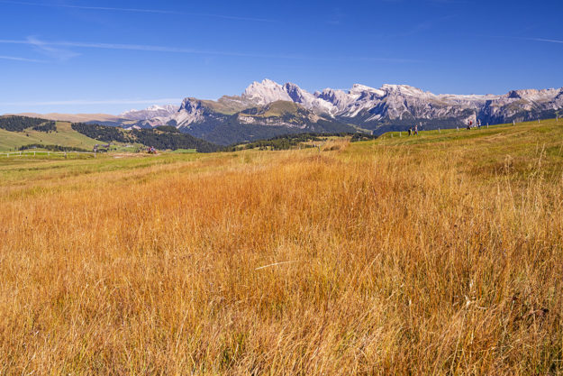 Alpe di Siusi