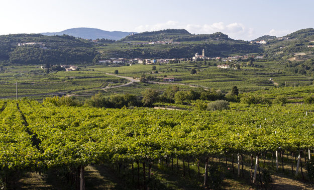 Marano di Valpolicella
