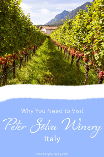 Peter Sölva Winery