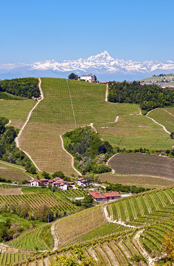 Views from Serralunga, Piedmont, Italy customized travel planning sale