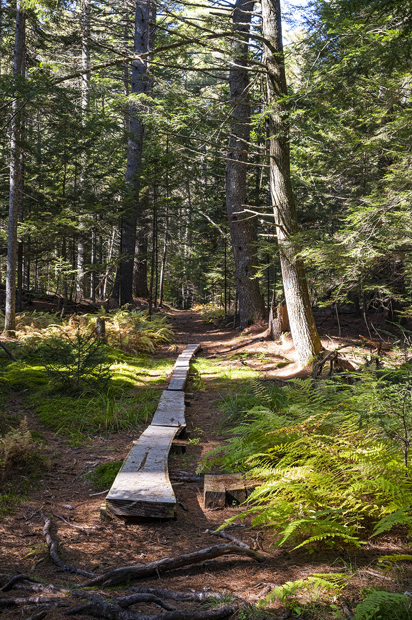 Fernald's Neck Preserve