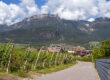 Südtirol wine route