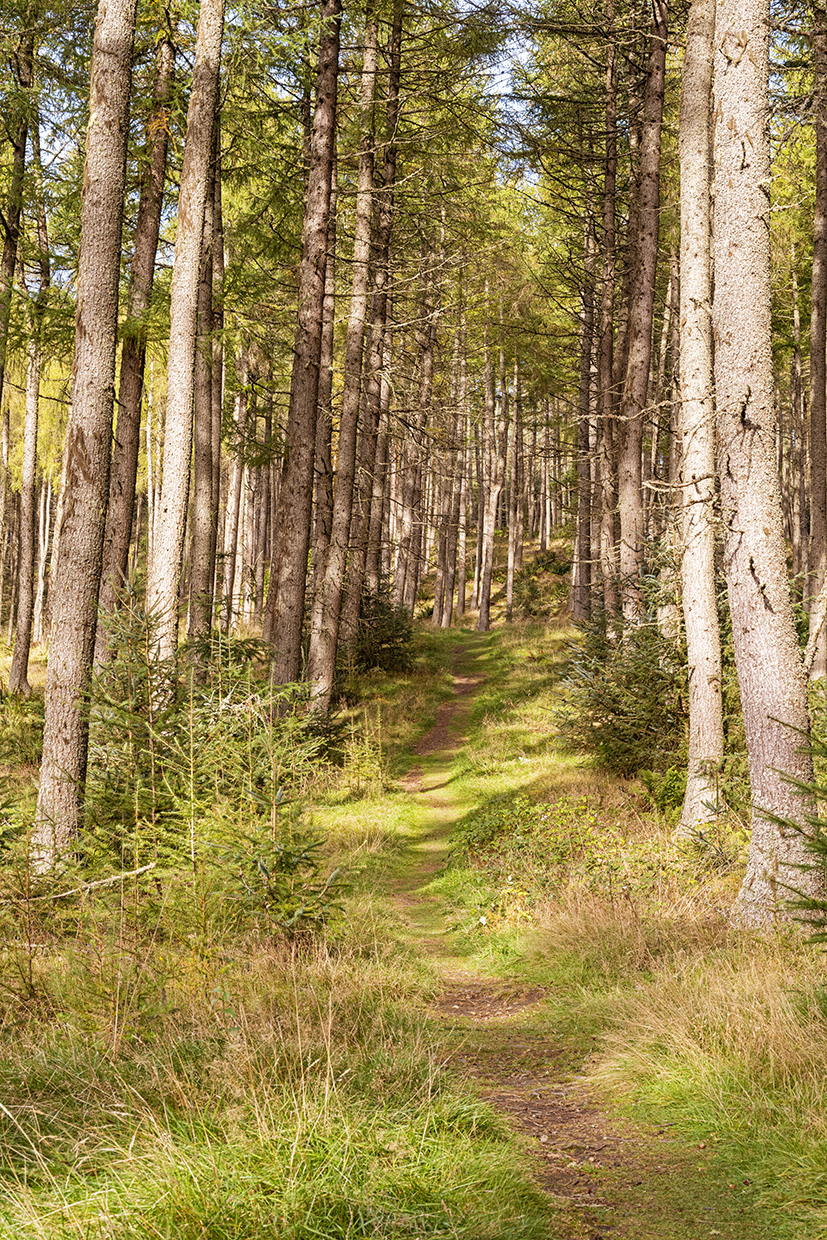 20 Reasons Why You Need to Visit the Charming Town of Pitlochry ...