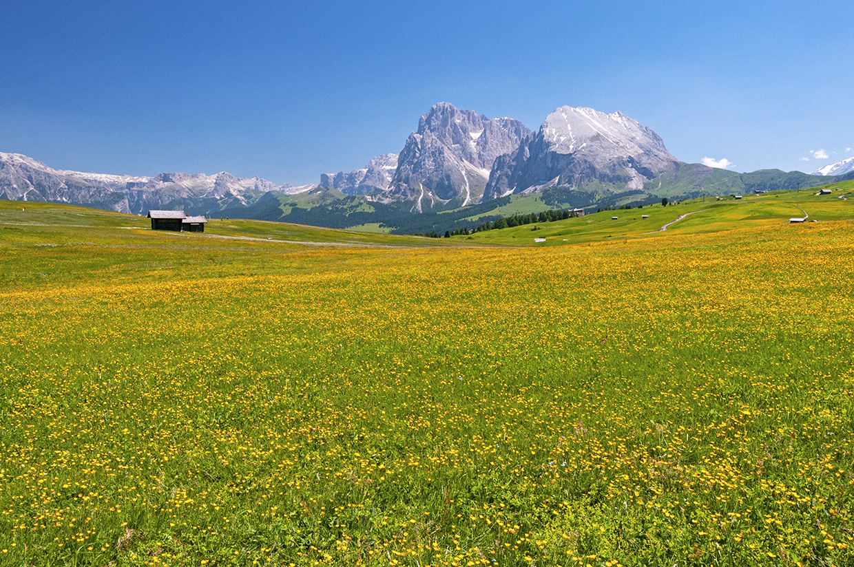 Alpe di Siusi