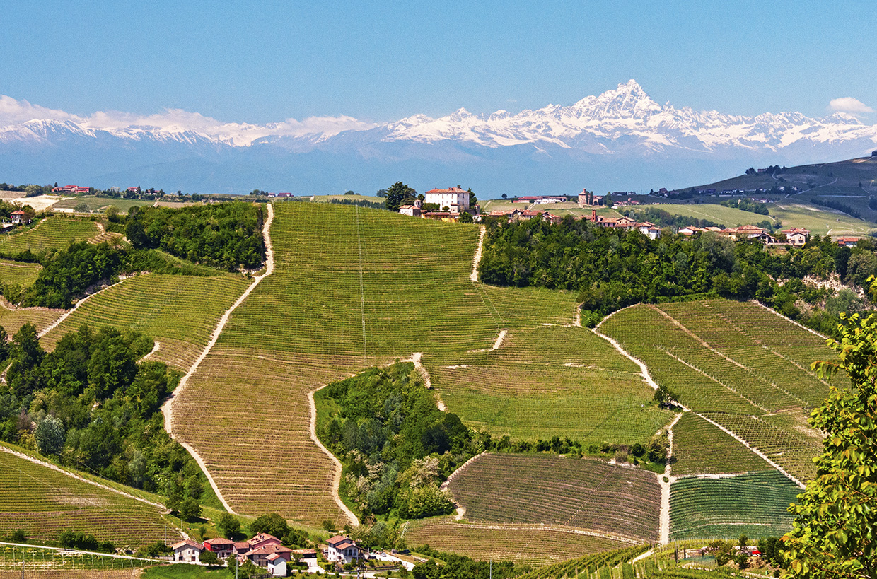 Langhe wine region Piedmont Italy