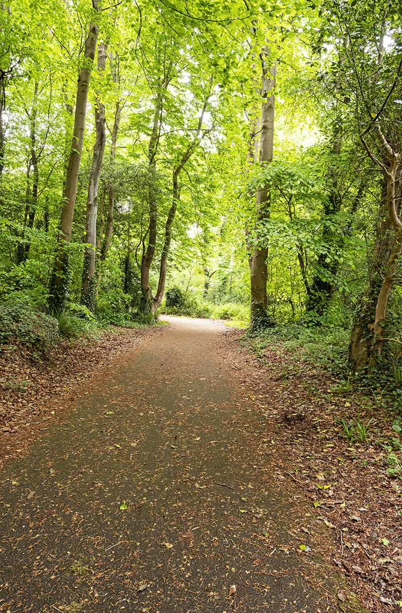 trail around Westport House in Ireland • Wander Your Way