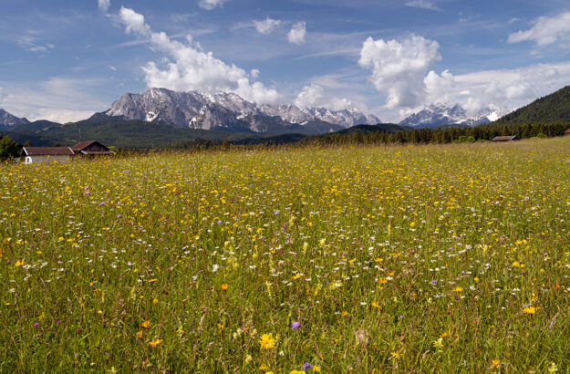 Black Forest and Bavaria Germany