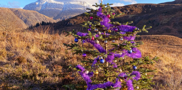 Gifts for the Traveler