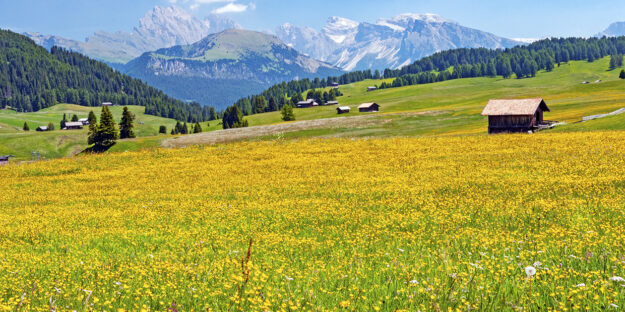 Places in Europe to See Flowers