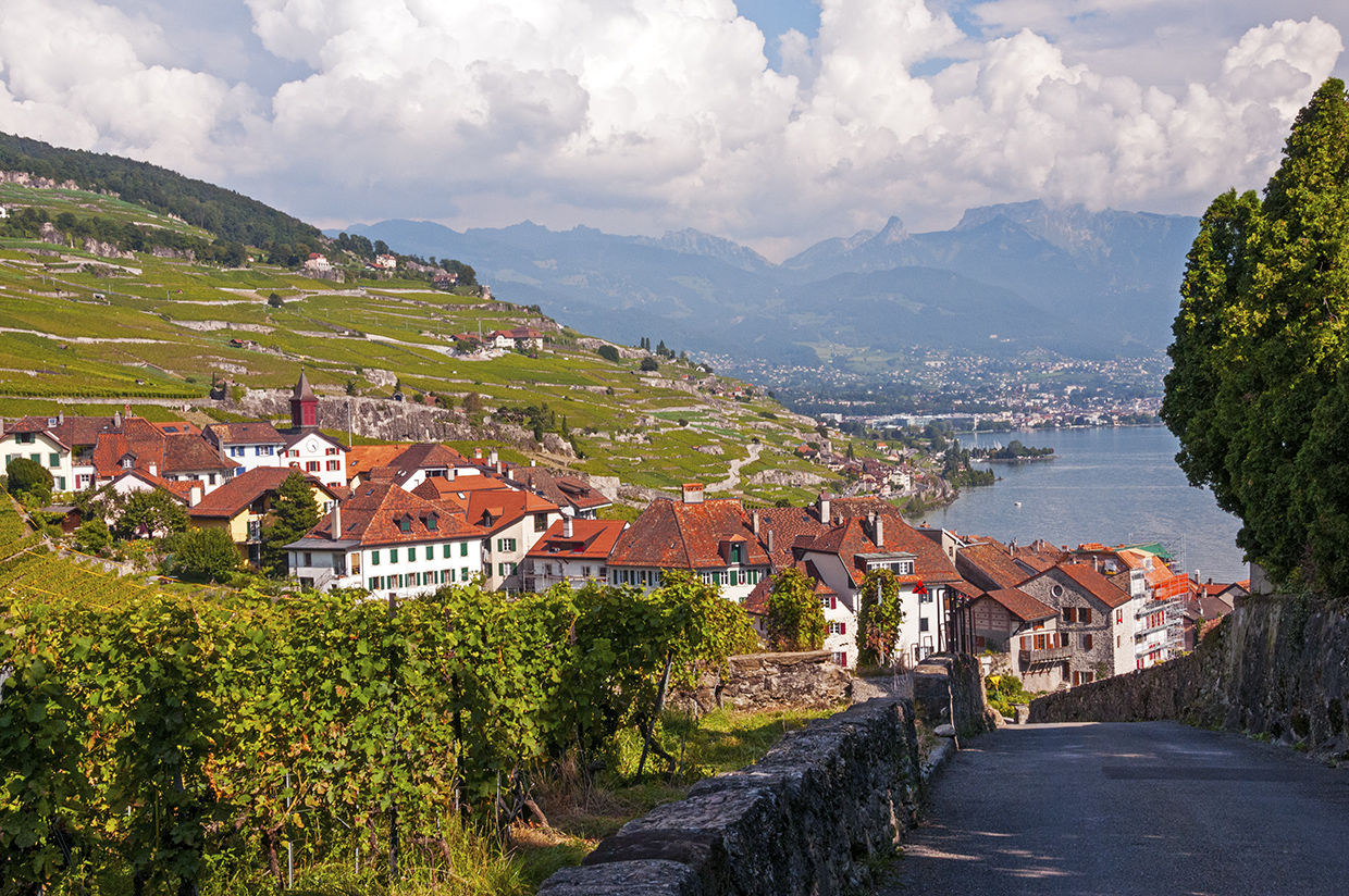 St Saphorin and Lake Geneva St Saphorin and Lake Geneva