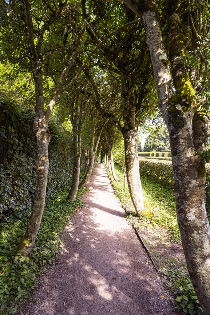 Path in gardens of Cawdor Castle Path in gardens of Cawdor Castle