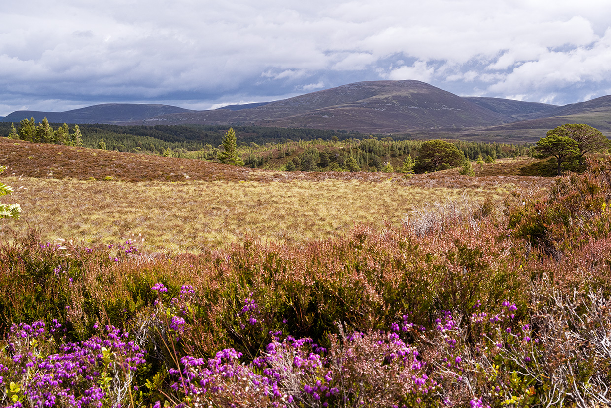 Cairngorms National Park