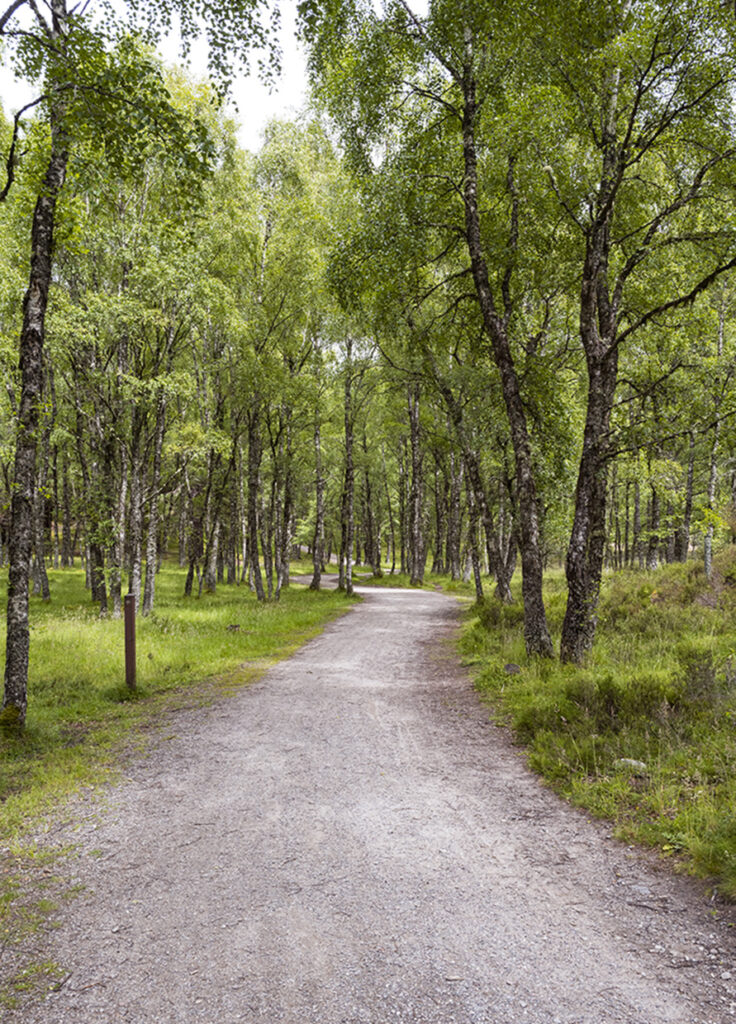 Cairngorms National Park trail