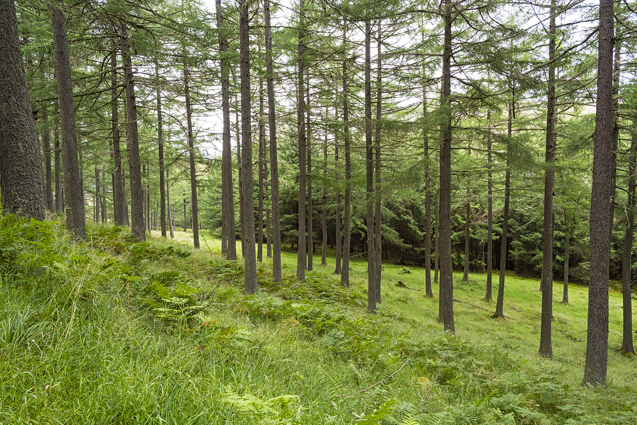 Cairngorms National Park