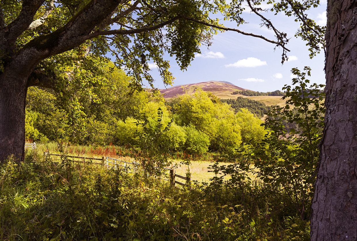 Cairngorms National Park