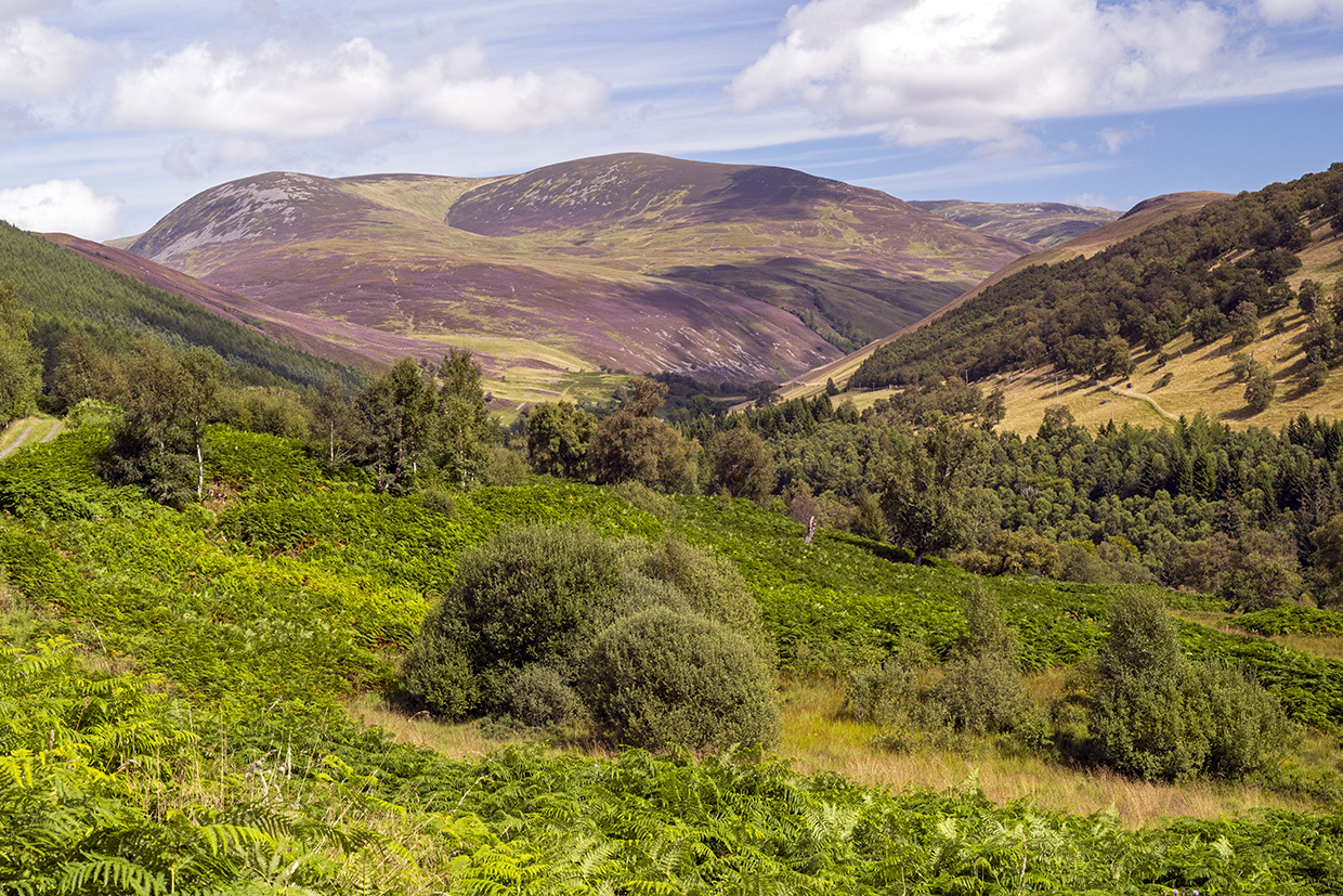 Glen Tilt in Cairngorms National Park