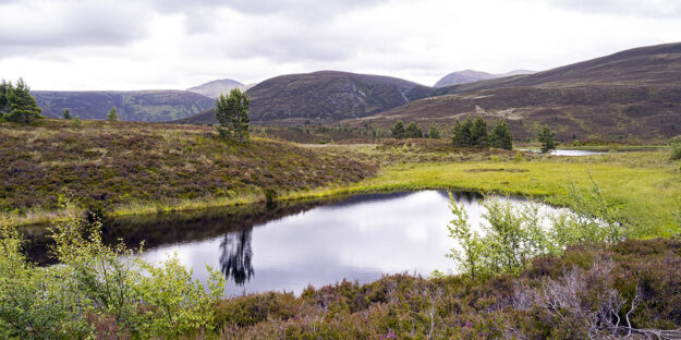 Cairngorms National Park