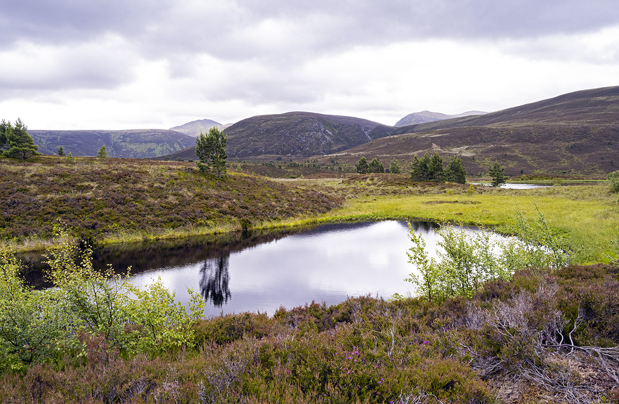 Cairngorms National Park