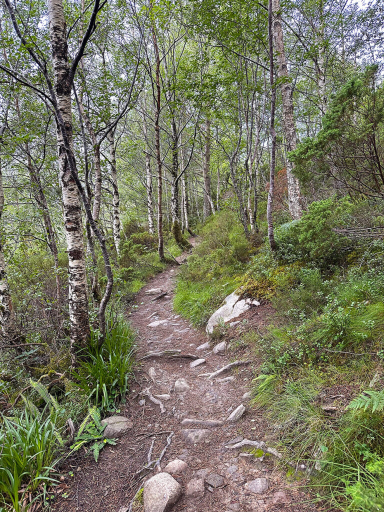 Cairngorms National Park