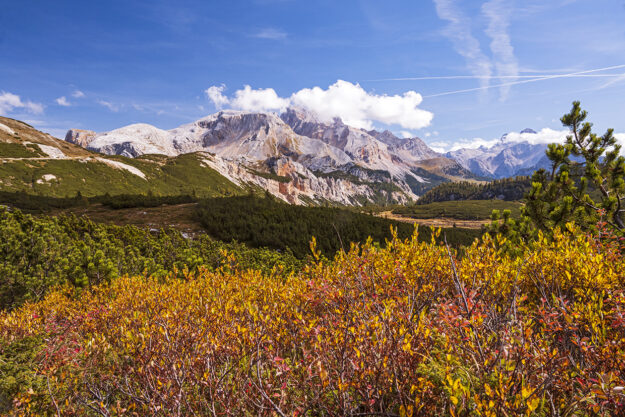 fall foliage in Europe