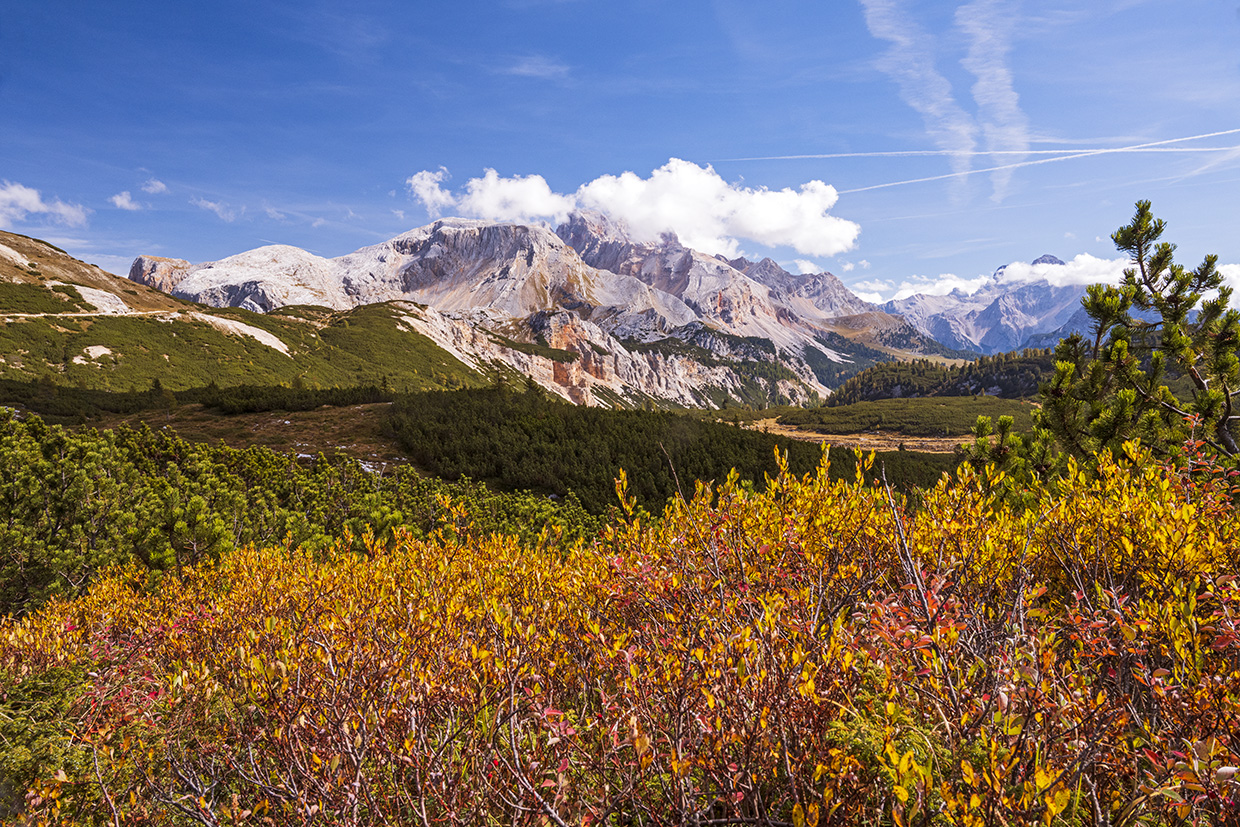 fall foliage in Europe