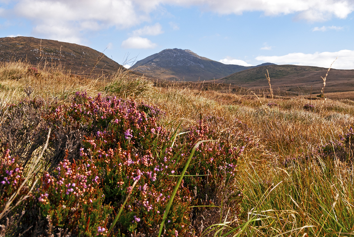 fall foliage in Europe