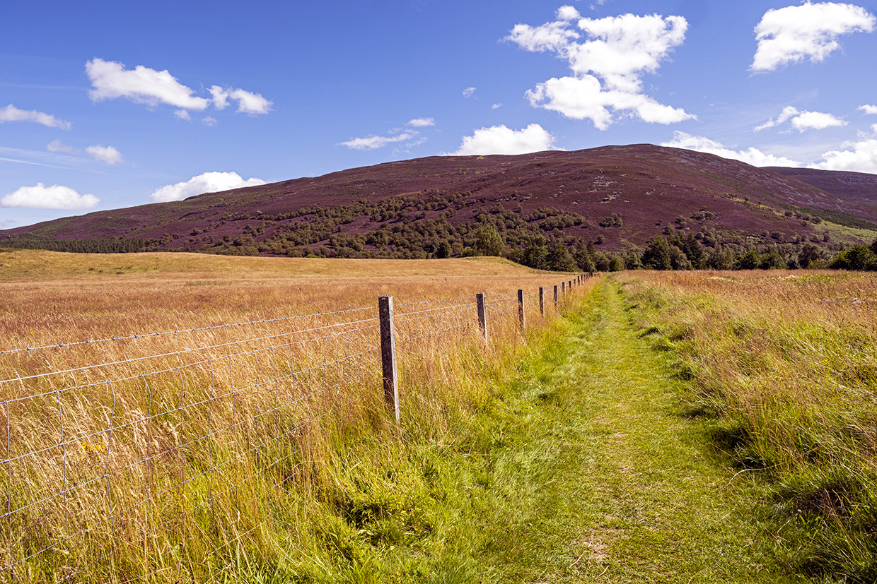 Tips for Finding Free and Inexpensive Things to Do in Europe