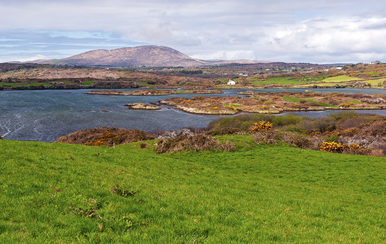 West County Cork landscape, Ireland