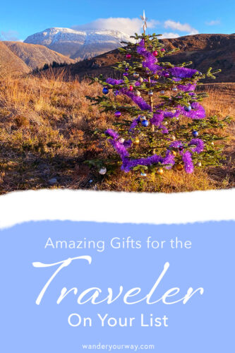 gifts for the traveler