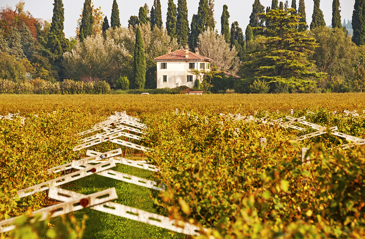 14 years of blogging