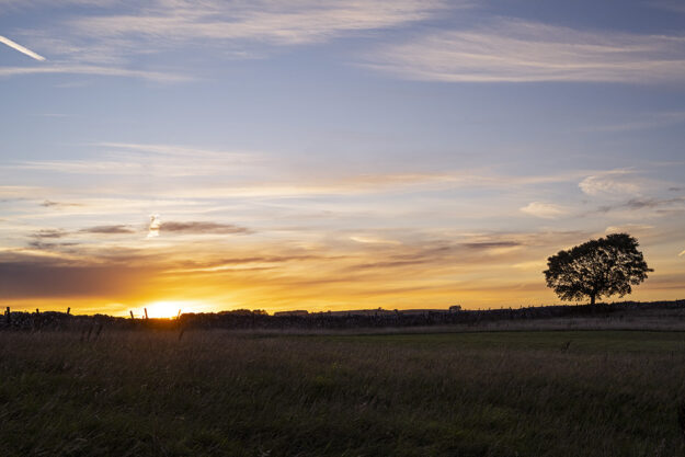 Year of Travel in Review