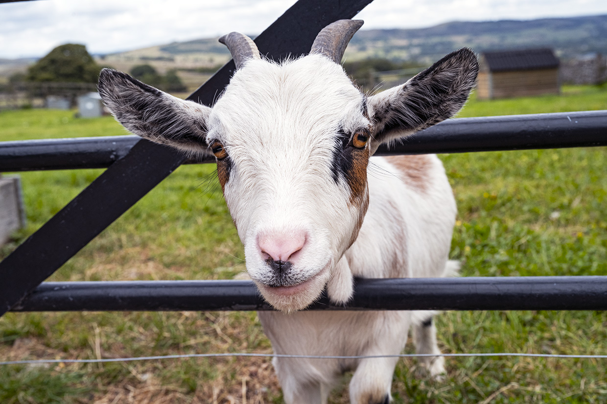 Peak District England
