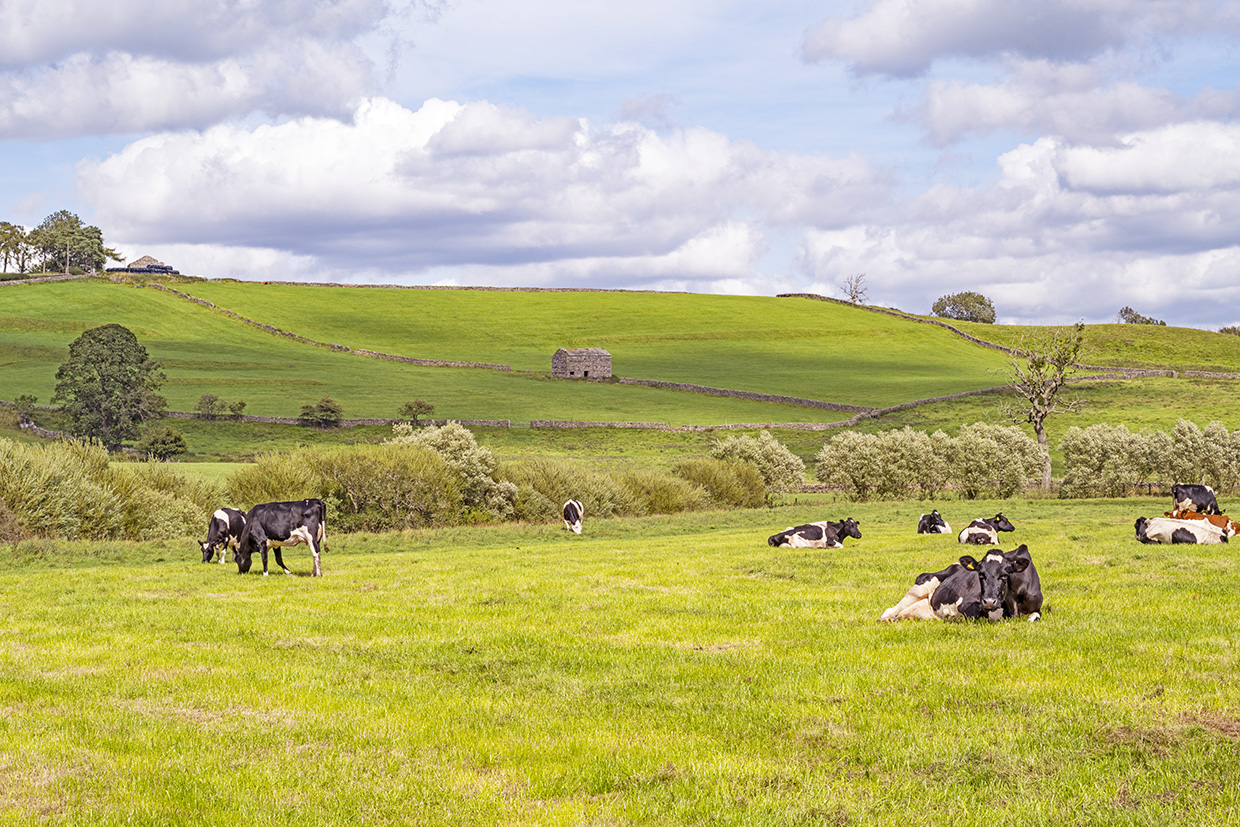 Yorkshire Dales England