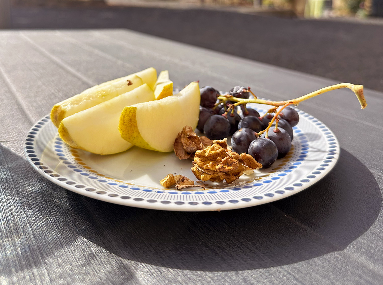 Apples in Normandy France